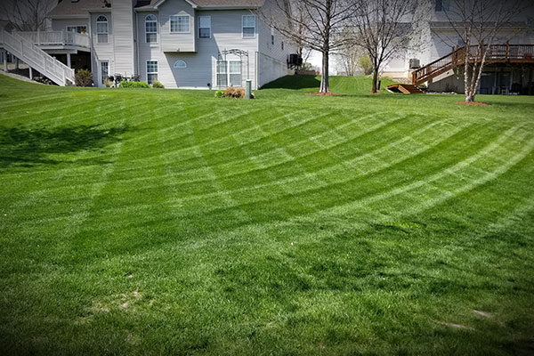 Lawn Care St. Charles MO