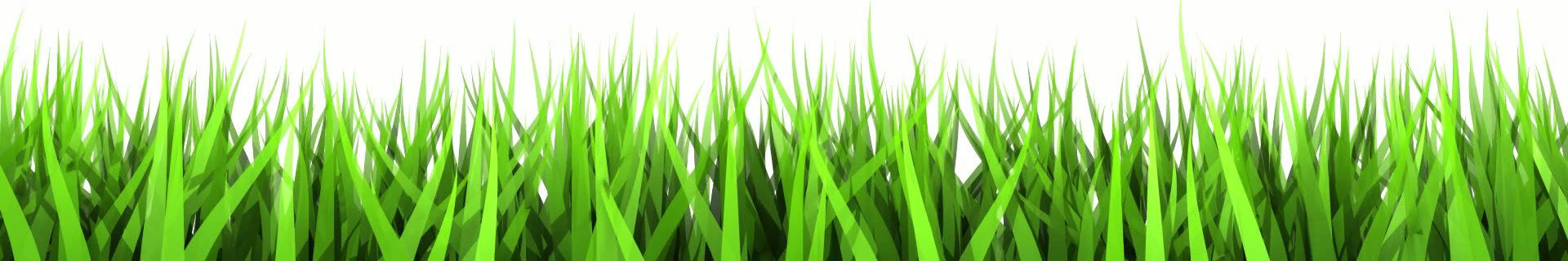 Candid Land Maintenance Fresh Grass