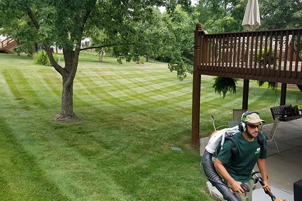Lawn Care Services St. Charles Missouri