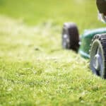 Summer lawn care