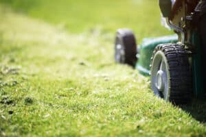 Summer lawn care