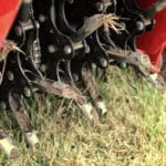 Aeration and overseeding