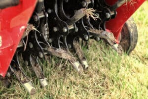 Aeration and overseeding